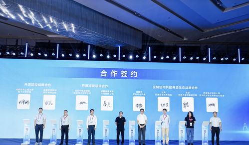 85條供需信息集中發(fā)布，成都開源生態(tài)建設(shè)大會(huì)引領(lǐng)軟件技術(shù)推廣新浪潮